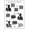 Minden - Allied Army: Uniforms and Flags