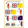 Minden - Allied Army: Uniforms and Flags