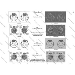 Hessen-Kassel Army: Flags to Print (13 plates)