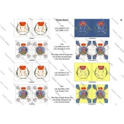 Hessen-Kassel Army: Flags to Print (13 plates)