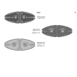 French Army in Germany: Flags to Print (56 plates)