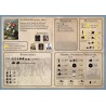 Napoleon's Conquests (English version)